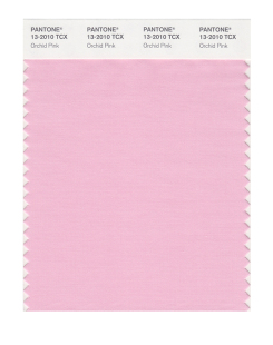 棉布版 Pantone潘通色卡彩通旗舰店 单张色卡 4111TCX 2010至13 服裝家居