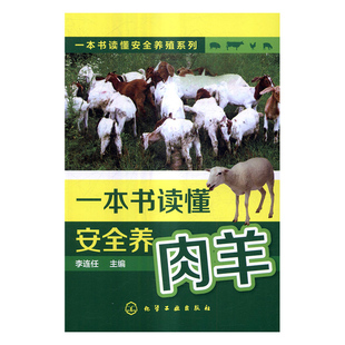 正版包邮 一本书读懂安全养肉羊 李连任 书店 畜牧、养殖书籍 书 畅想畅销书