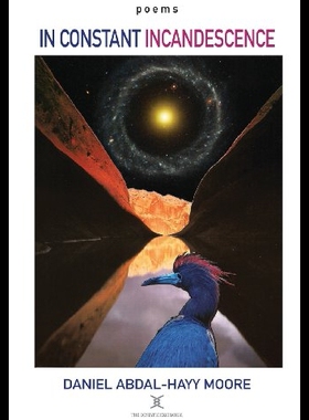 【预售】In Constant Incandescence / Poems