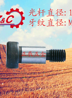 塞打螺丝/凸肩 轴肩 限位螺栓/登高螺丝 MSB16-15/20/25  M12牙