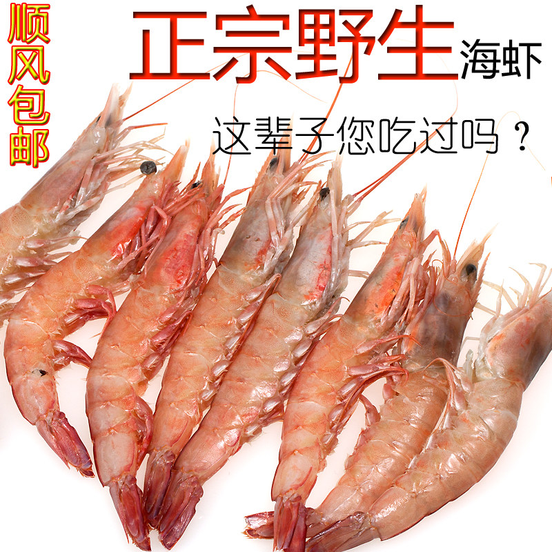 红立虾海蛎虾新鲜野生对虾海捕海虾滑皮虾 剑虾 海鲜水产