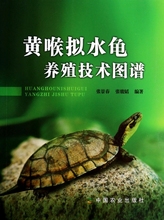 【正版包邮】黄喉拟水龟养殖技术图谱 畅销图书书籍