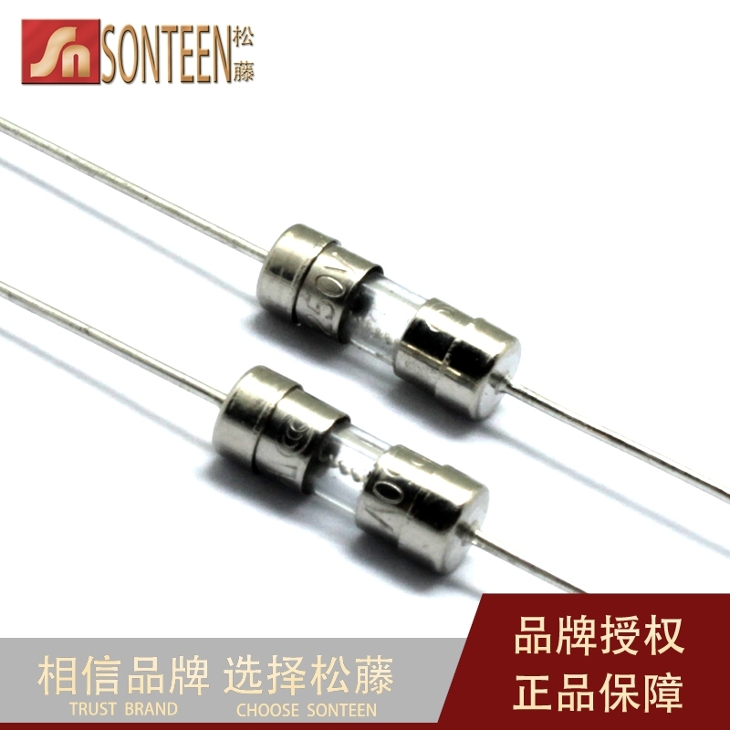 3.6*10保险丝 2A 慢断 T2A  2000MA 带引线/引脚保险丝(20只）