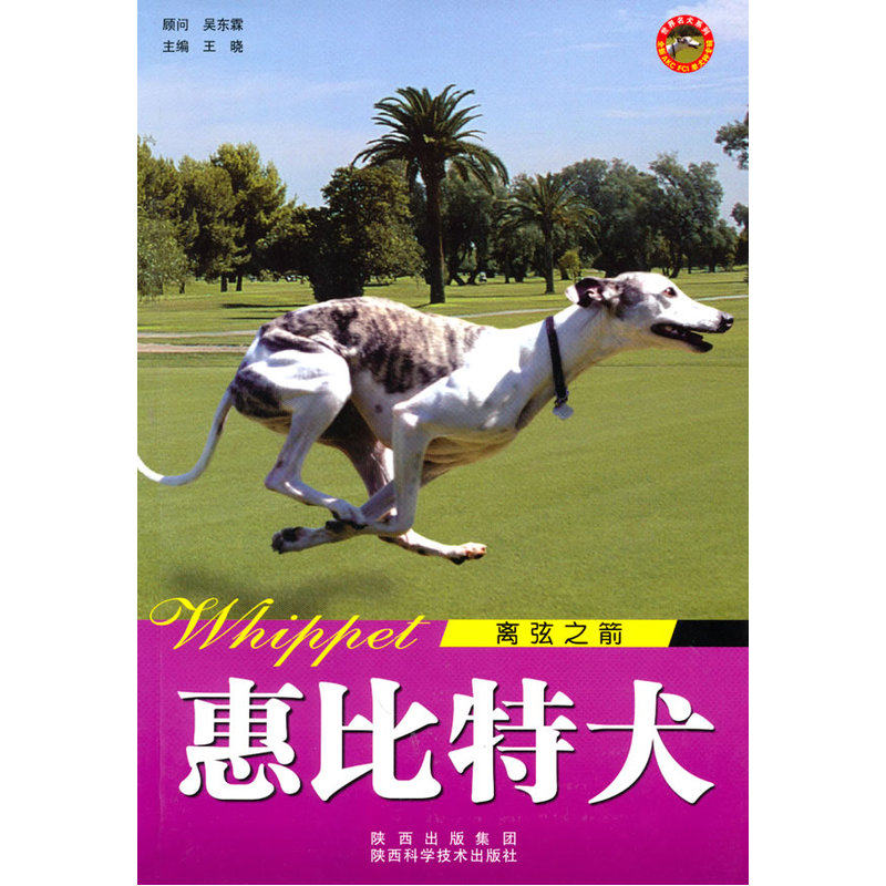 世界名犬-惠比特犬