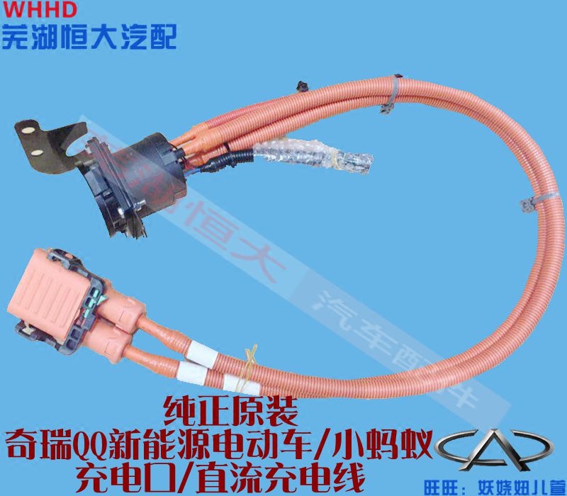 奇瑞小蚂蚁EQ1内接线束充电口