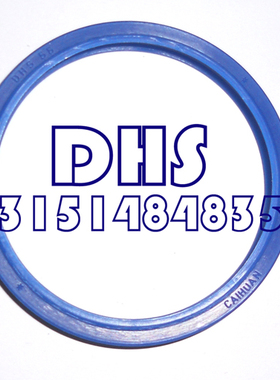 DHS 型 98*108*6/8 100*110*6/8 防尘密封件 活塞杆液压