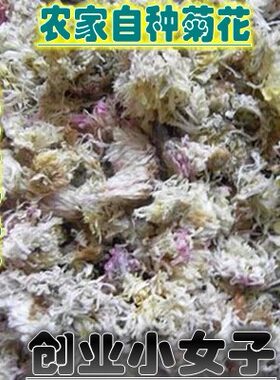 散装特级菊花茶天然中药材