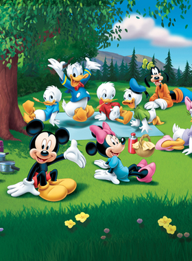 迪士尼卡通动漫 迪士尼公主 米奇米妮 小熊维尼 动漫 装饰画D870C