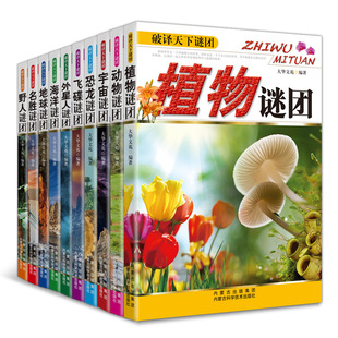 破译天下谜团全套10册儿童科普大百科书名胜植物飞碟野人海洋动物外星人探索宇宙恐龙地球课外读物