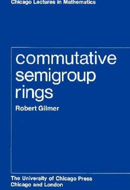 【预售】Commutative Semigroup Rings