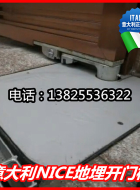 意大利耐氏进口地埋式电机 nice180度别墅电动八字开门机ME3000