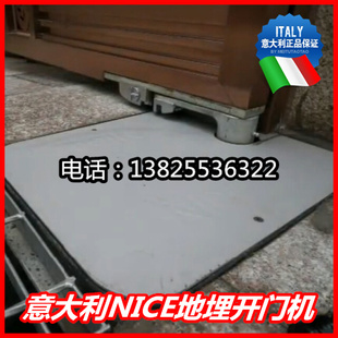意大利耐氏进口地埋式 nice180度别墅电动八字开门机ME3000 电机