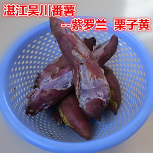 包邮5斤装番薯 冰淇淋新鲜红薯 紫薯 生地瓜 农家自种粉香糯