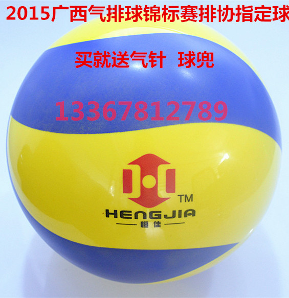 Ballon de volley-ball - Ref 2010222 Image 1