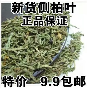 费 免邮 500克 中药材侧柏叶新鲜侧柏叶可配桑叶苦丁茶叶