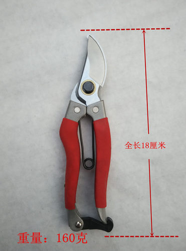进口包邮本台修枝剪剪工具园艺园林修枝剪树枝剪锯剪刀园艺园丁