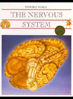 【预售】Nervous System and the Brain (Invis Wld)
