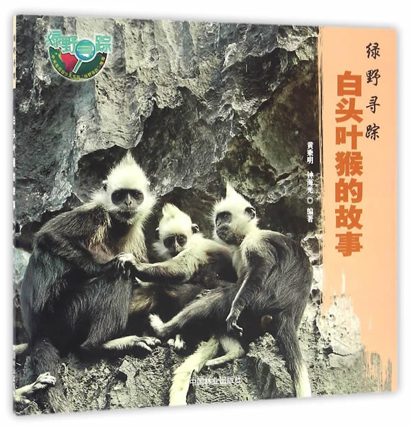 白头叶猴的故事 书店 黄乘明 动物书籍 书 畅想畅销书