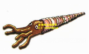 m 古代寒武纪二叠纪远古鹦鹉螺目软体动物化石古生物古代生物模型