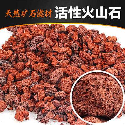 【罗汉鱼】火山石 鸡血石 珊瑚石  促进罗汉鱼起头发色 包邮
