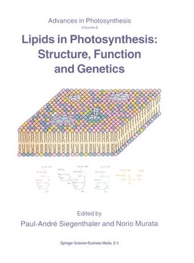 【预订】Lipids in Photosynthesis: Structure,...