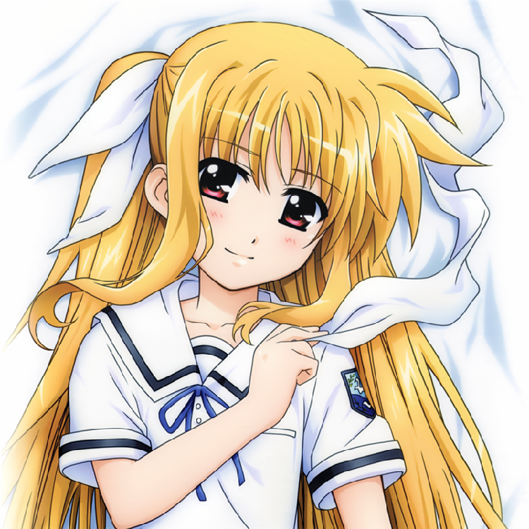 魔法少女奈叶 菲特 双面 动漫美少女等人等身抱枕套