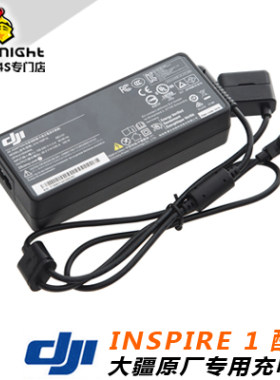 悟1M600电池M100充电器TB47/TB48