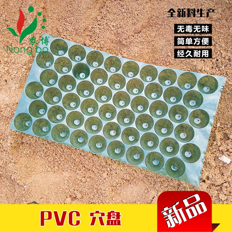 厂家直销穴盘育苗盘营养钵38穴48穴54穴70穴100穴新料PVC穴盆