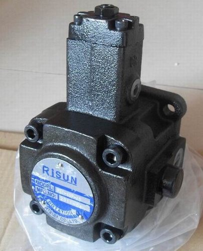 RISUN泵 VE1-40F-A2 VD1-30F-A3 VD1-30FA VE1-40F-A3 VB1-20F-A2