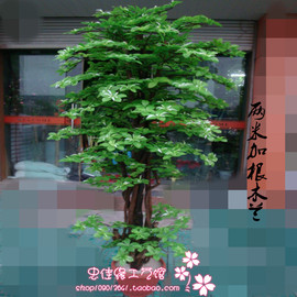 仿真植物大型假树发财树客厅摆设酒店装潢假花2米木兰树盆景