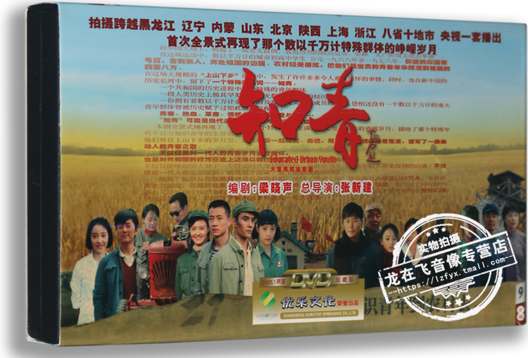 正版电视剧 知青 9dvd 经济版 盒装 唐曾 傅晶 王凯