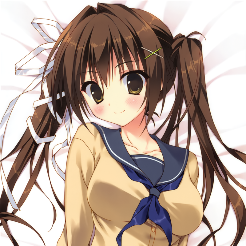 彼女のセイイキ 名瀬ゆかな 双面 等身抱枕套定制