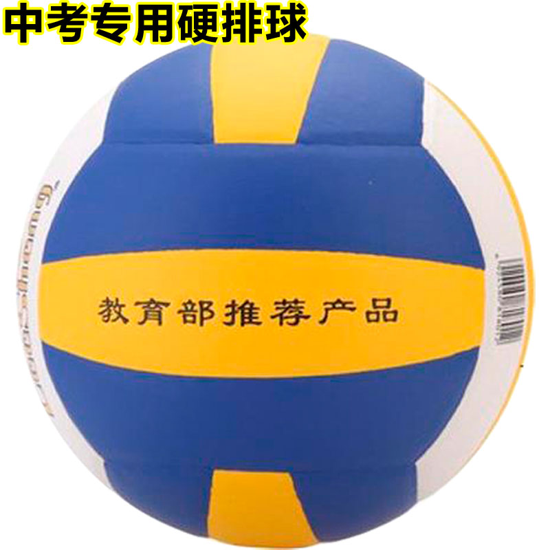 Ballon de volley - Ref 2016314 Image 1