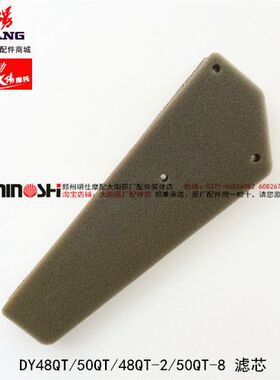大阳DY48QT/-2/50QT/50QT-8滤清器海绵滤芯过滤器摩托车原厂配件