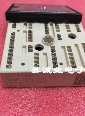 SKIIP23AV126V1 SKIIP24AC12T4V1 SKIIP26AC126V1 全新原装 询价