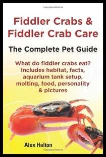 【预售】Fiddler Crabs & Fiddler Crab Care. Com