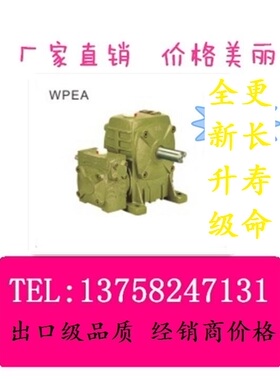 厂家直销WPEA WPES WPEO WPEX 双级变速机蜗轮蜗杆 双极 WP减速机