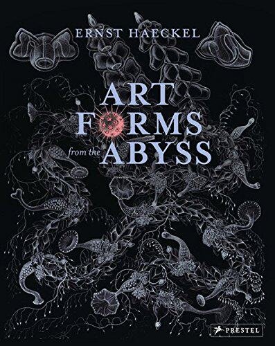 【预订】Art Forms from the Abyss: Ernst Haec...