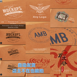硬纸板纸箱卡片品牌LOGO效果图 VI智能贴图提案Mockup样机PSD模板