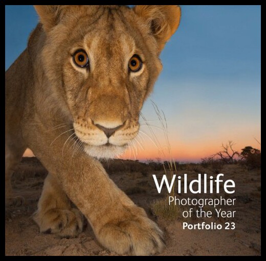 【预售】Wildlife Photographer of the Year: Portfolio 23