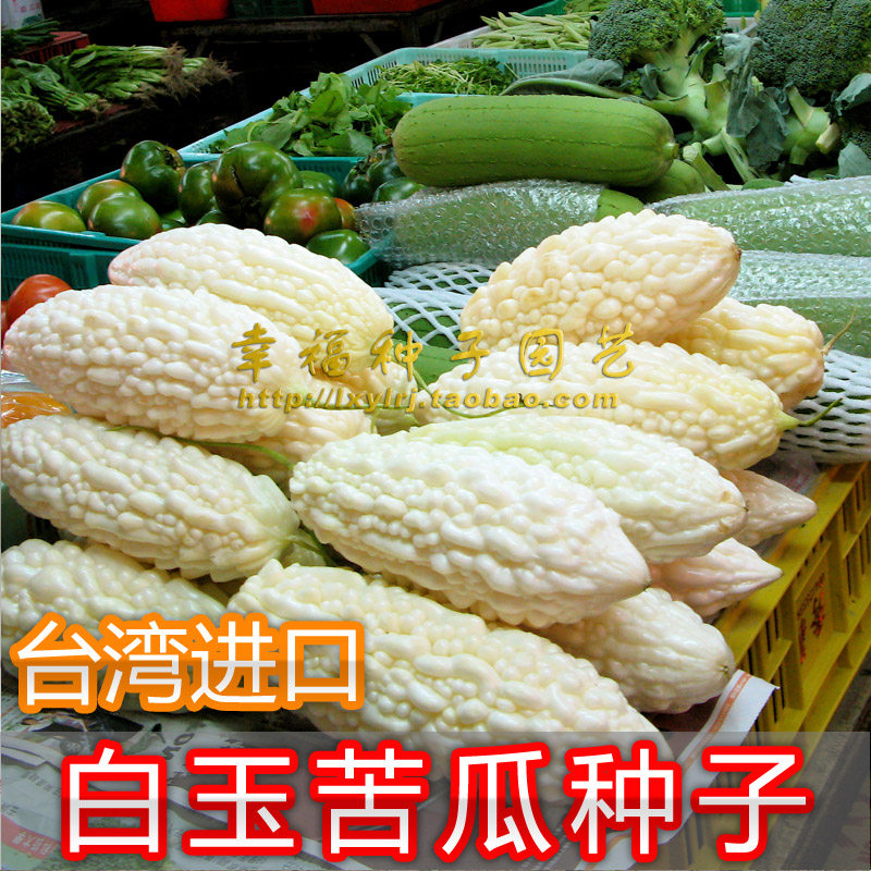 【台湾白玉苦瓜种子】台湾原种 白凉瓜种子 苦瓜大王 春秋播种