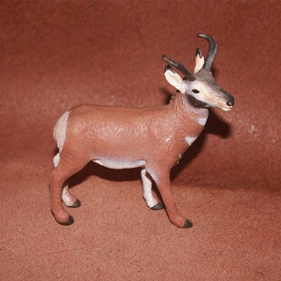 safari 成年叉角羚羊 仿真野生动物模型玩具