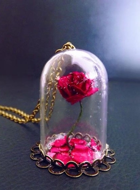 美女与野兽玫瑰小瓶情人节项链