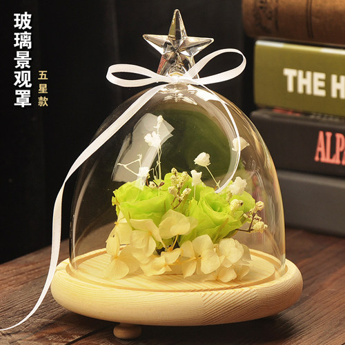 精致欧式透明玻璃景观罩 加宽星型玻璃罩 微景观花瓶 特色礼物