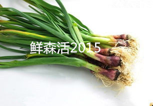 新鲜蒜苗京津冀包邮半斤