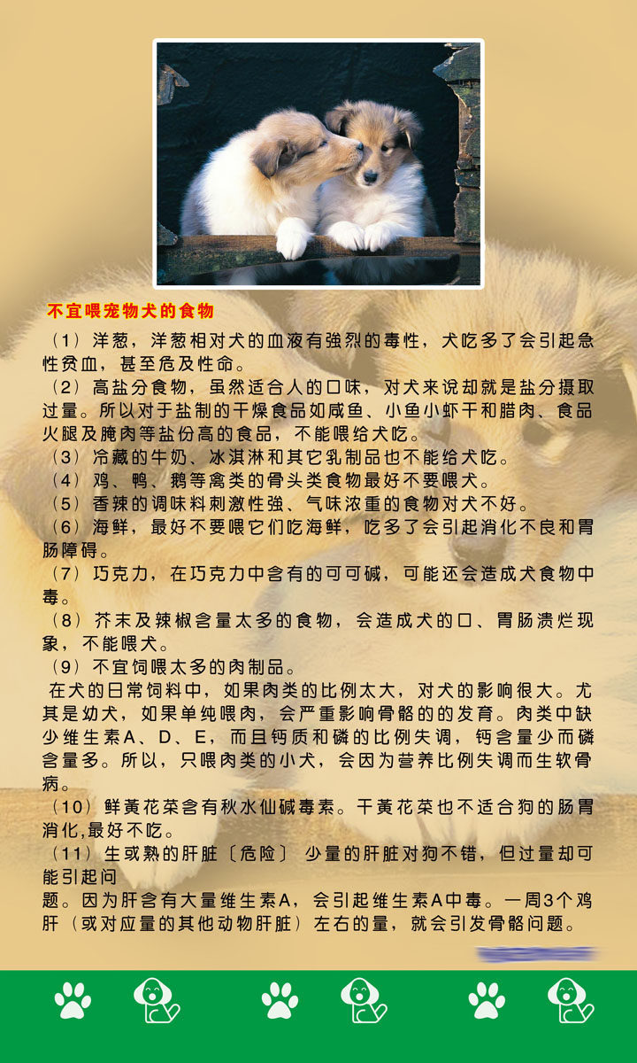 210海报印制展板素材3936宠物护理不宜喂宠物犬的食物