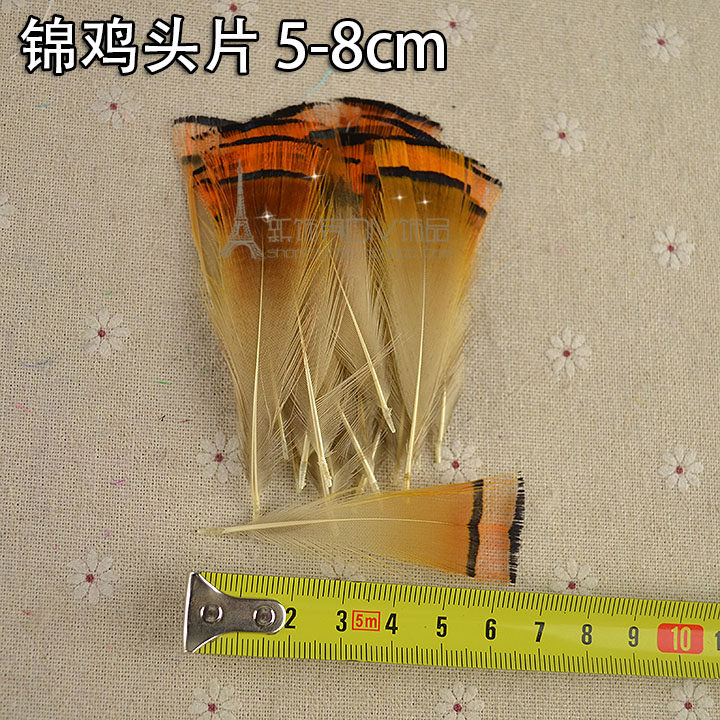 包邮diy手工艺饰品配件羽毛 野鸡毛 天然装饰羽毛锦鸡片 50根一包