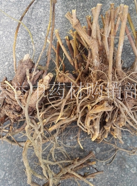 白花丹根 全根白花丹根 一见消根 百花丹根 白雪花 500克正品野生