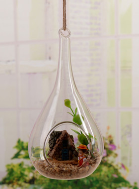 悬挂透明玻璃多肉植物花器