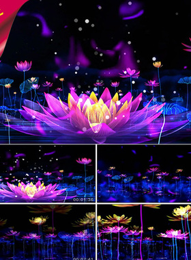 小荷尖尖 儿童舞蹈背景 梦里莲花 水莲花 紫色荷花莲藕 视频素材